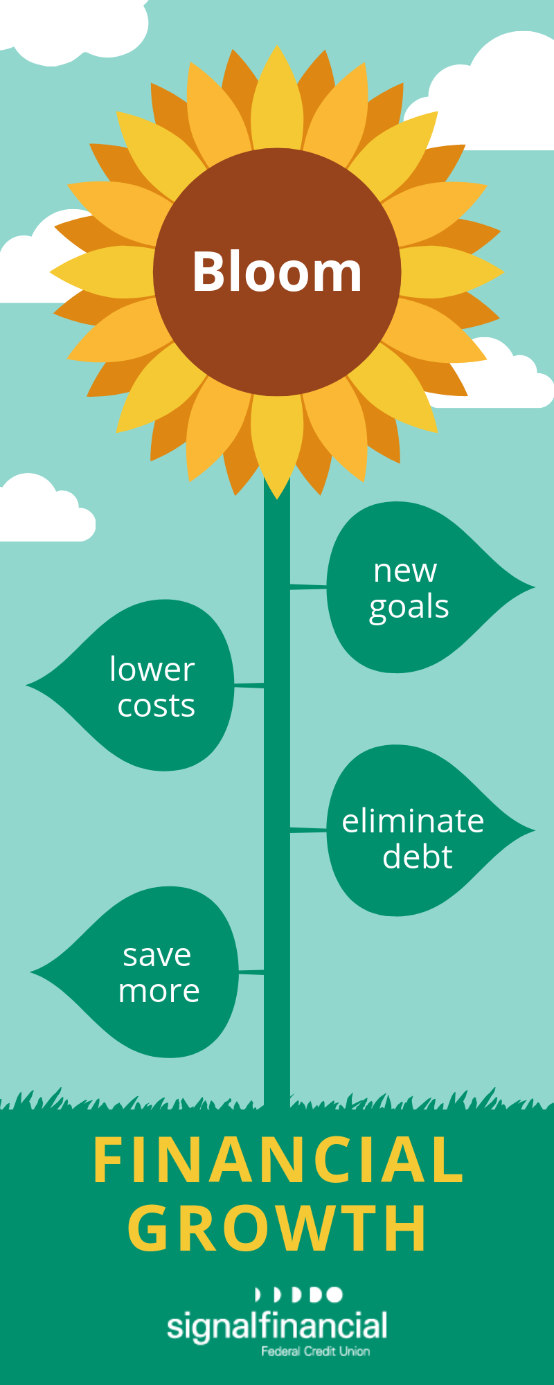 steps for financial growth